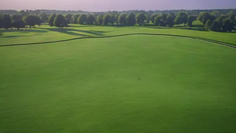 Golfclub-Sets 2026: Der ultimative Guide für jedes Budget