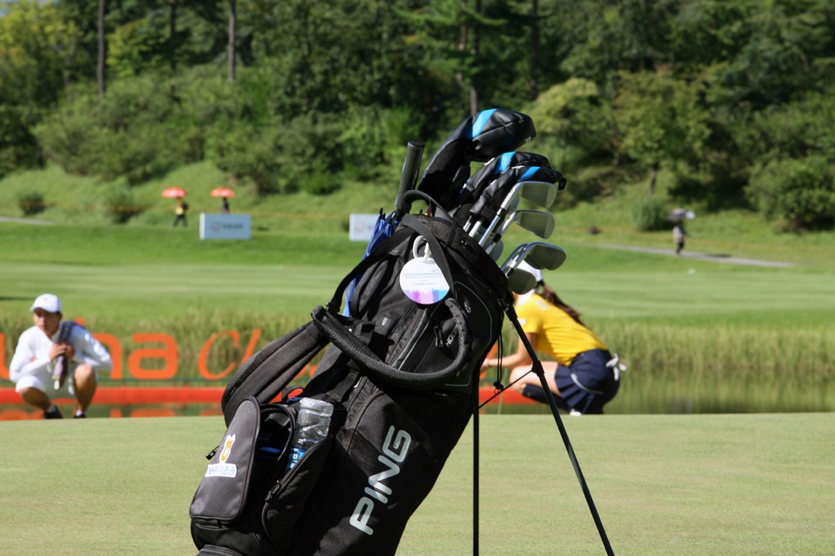 Conjunto completo de palos de golf con bolsa