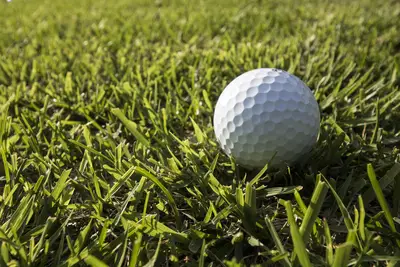 Elite athlete Pro Player Club Setup Secrets why