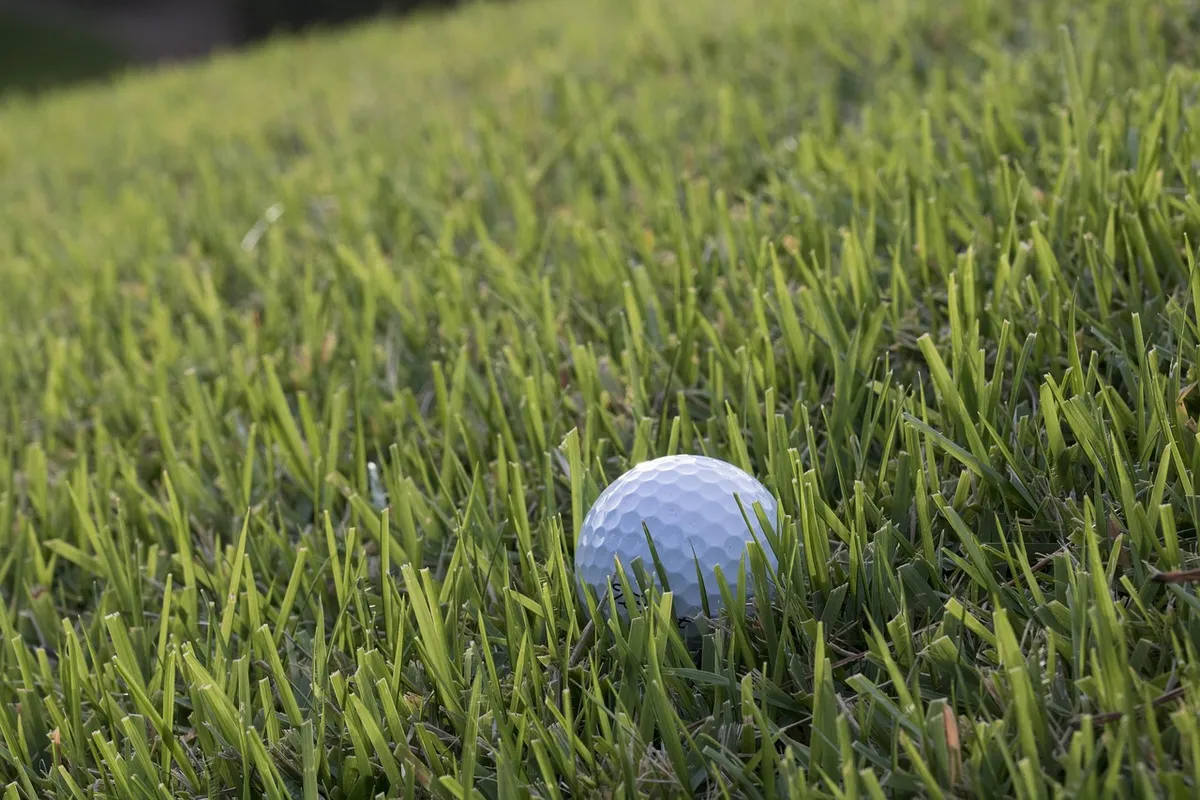 golf, green, field, nature, grass, sports, golfers, ball, club, golf ball, player, leisure