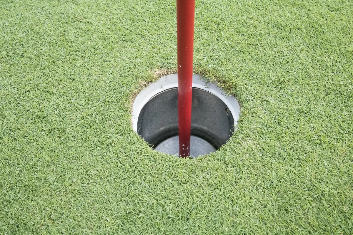 golf, green, nature, field, grass, sports, golfers, hall, club, goal, player, leisure
