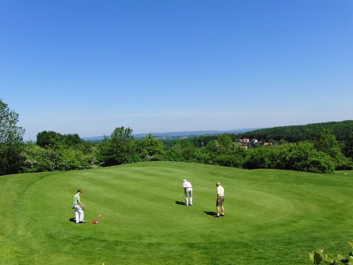 golf, golf club, lawn, golf lawn, sports, golfer, putten, putter, golf, golf, golf, golf, golf, golf club, golfer