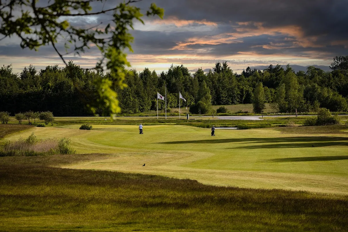 golf course, golf, golf club, sunset, nature, outdoors, activity, golf course, golf, golf, golf, golf, golf